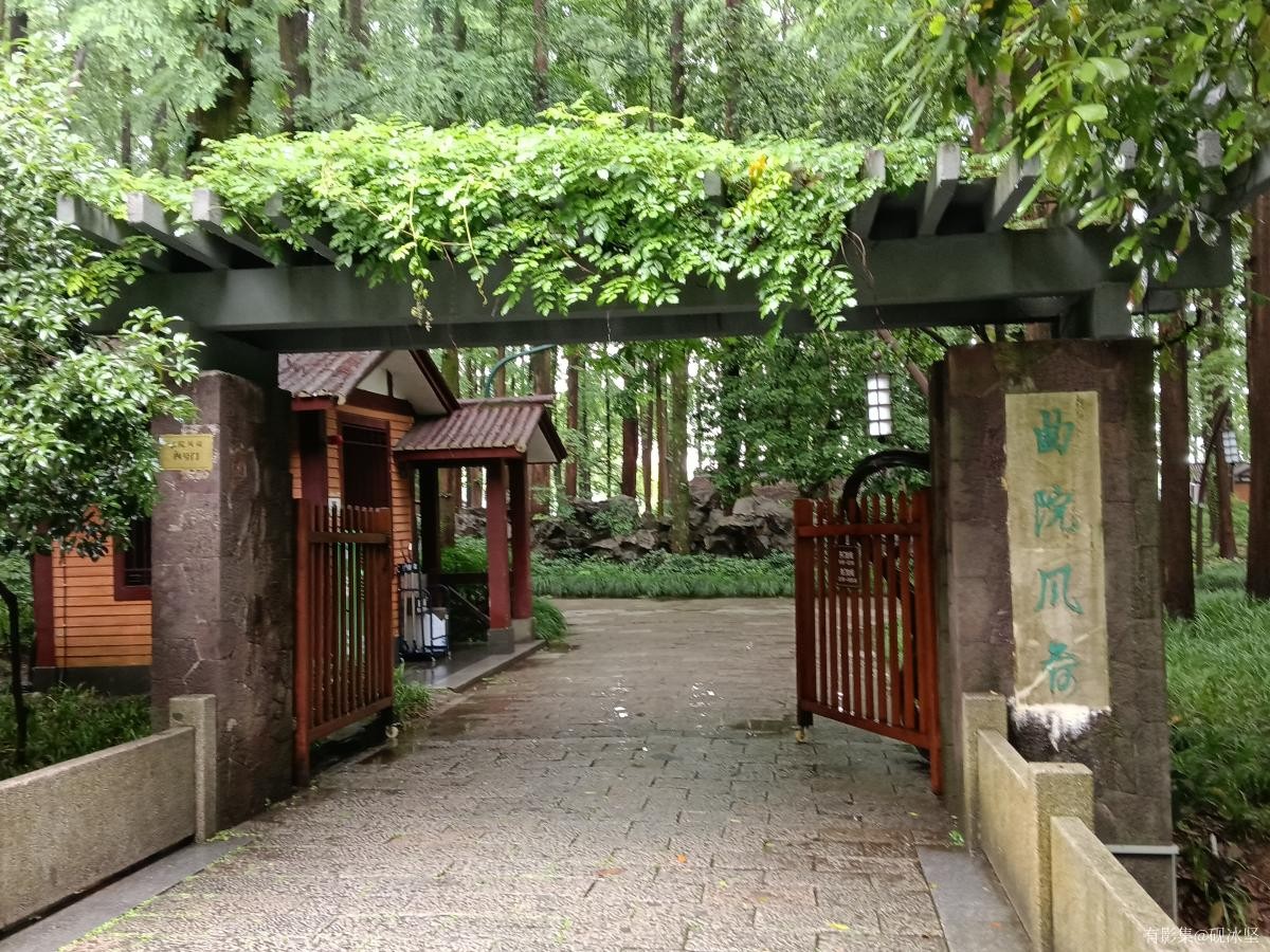 砚冰坚